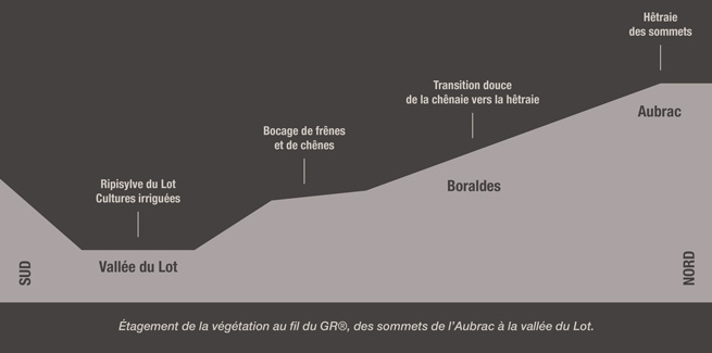 3-Plateau de Campuac