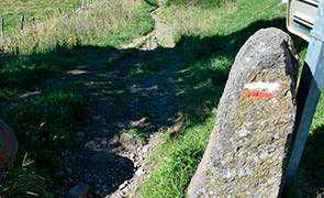 Chemin après Aubrac