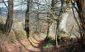 Chemin de Célis