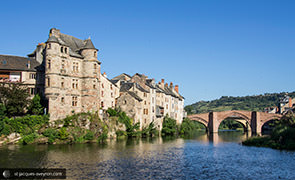 Vieux Palais et Pont Vieux