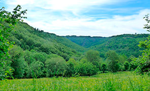 Paysage au niveau du Recours