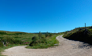 Chemin entre Aubrac et Belvezet