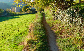 Chemin en arrivant sur Espeyrac