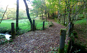 Chemin en amont d’Espeyrac